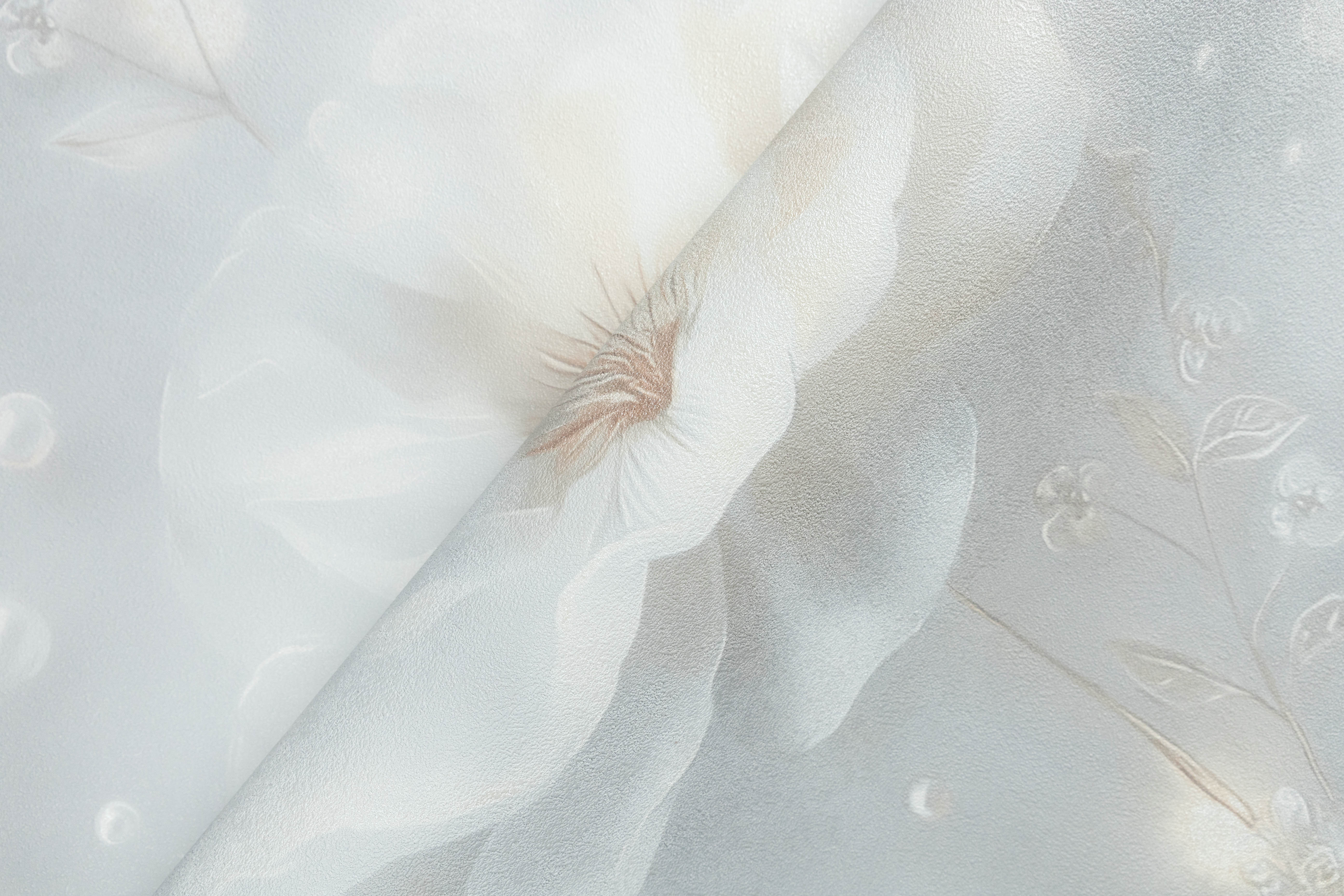dtl