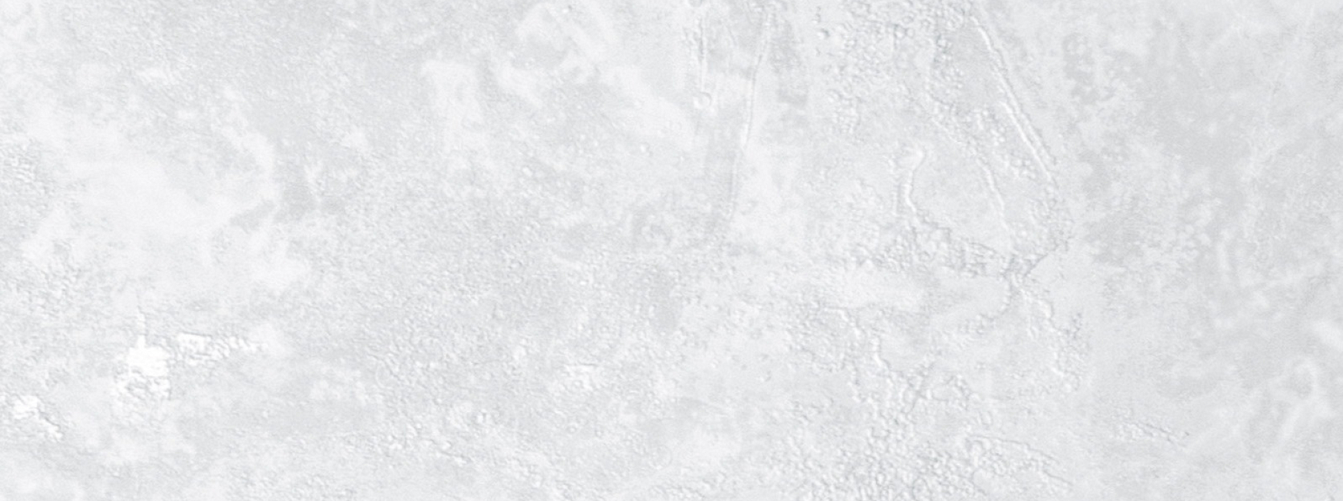 Изображение Rose Фортуна 99817