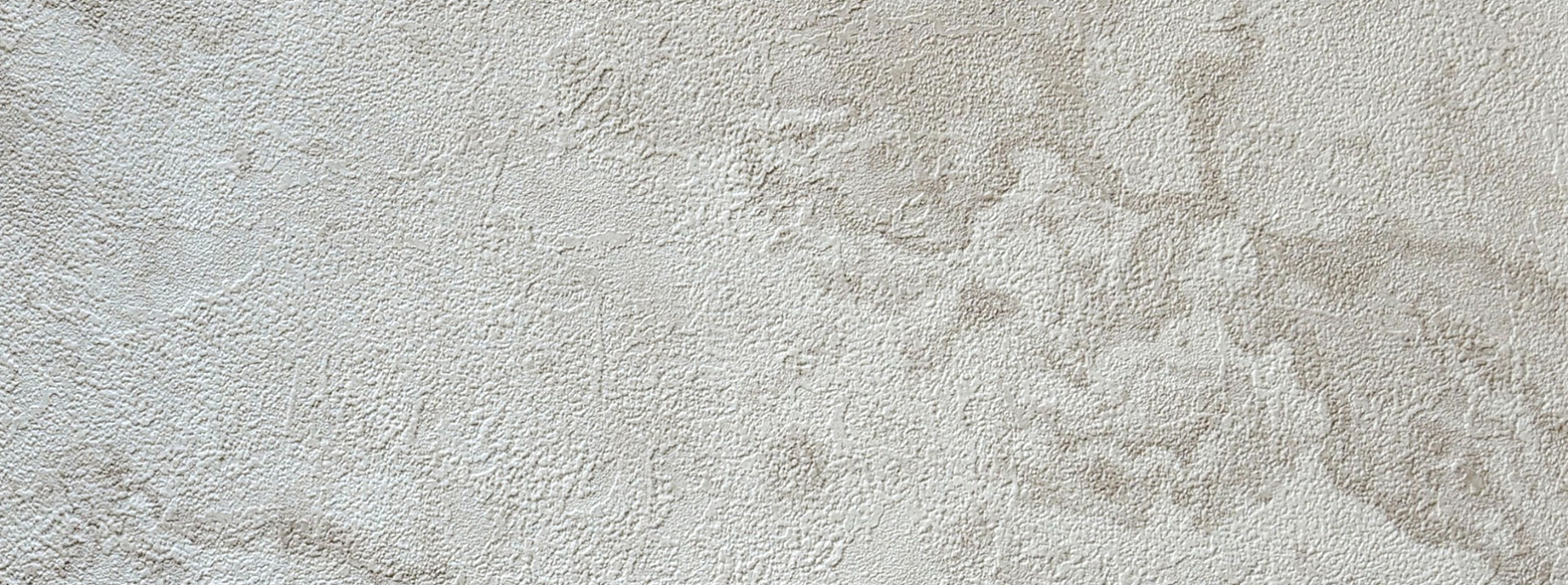 Изображение Alessandro Allori Bodega 2403-3