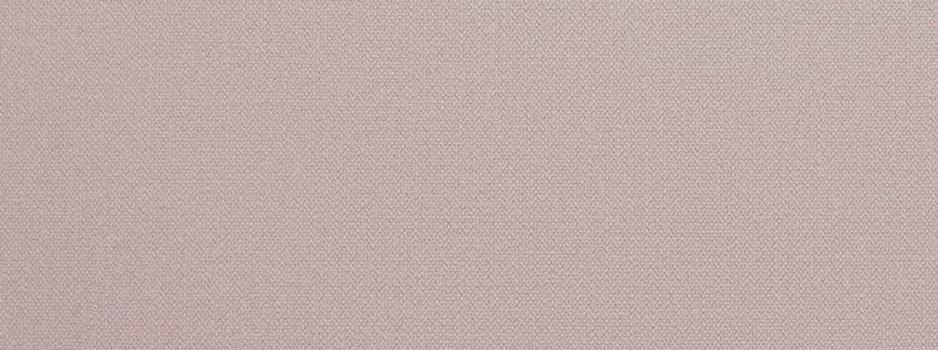 Изображение Alessandro Allori Rebecca 15003-5