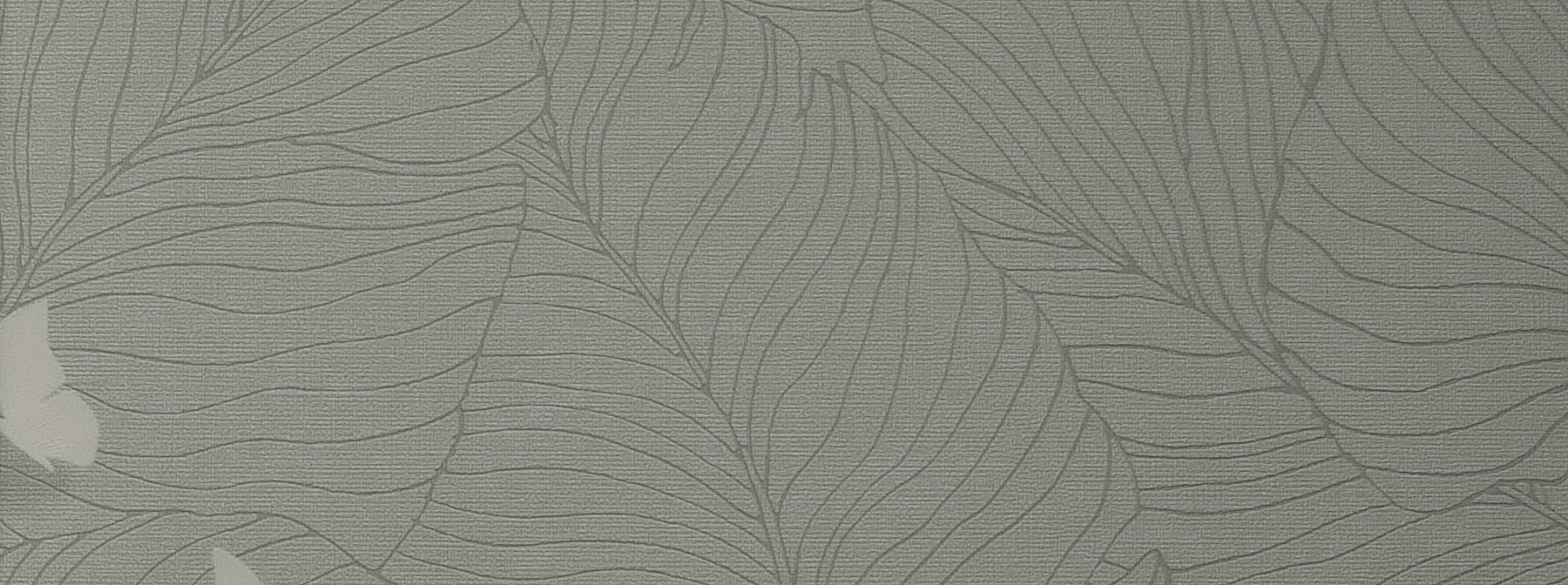 Изображение Andrea Rossi Berggi 54453-6