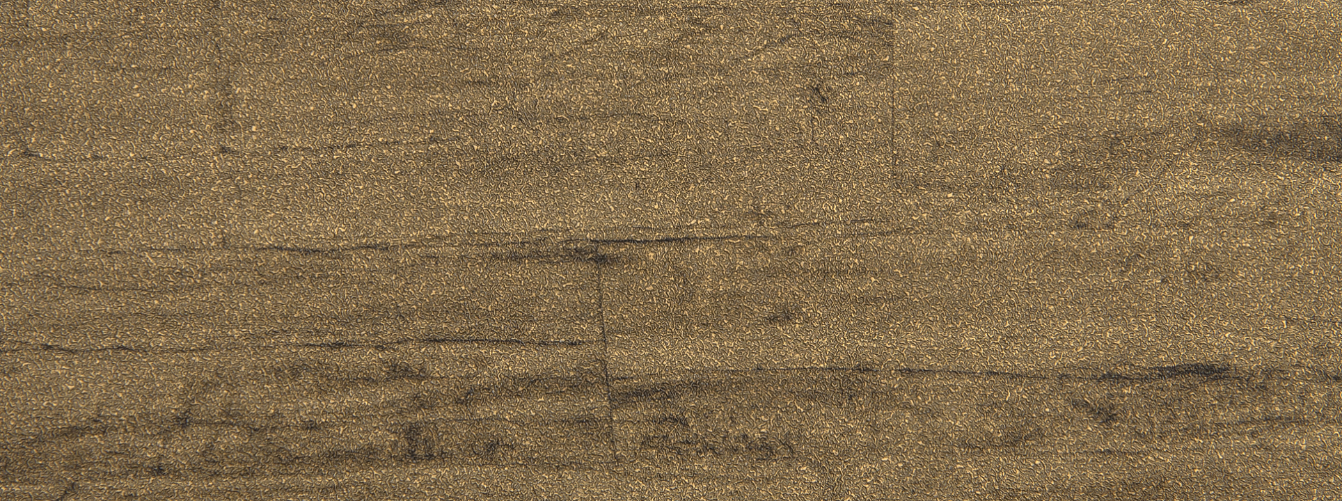 Изображение Rasch Curiosity 537079