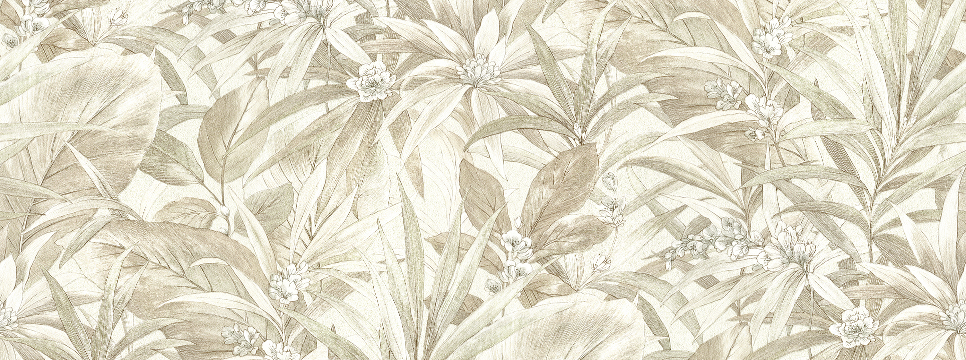 Изображение Alessandro Allori Берти 15047-2