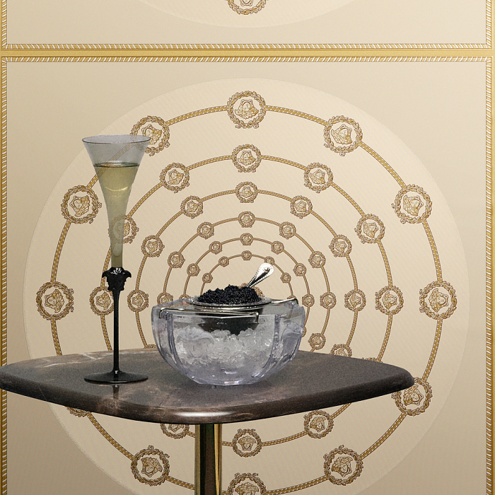 Versace Версаче 6 79175-3 — картинка №6