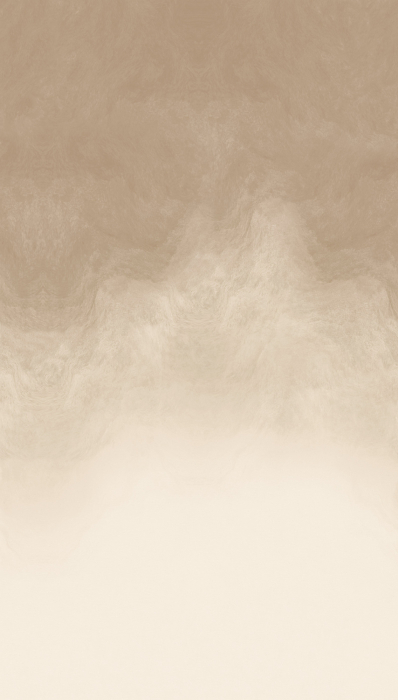 79239-3 Панно AS Creation 159*280, Облачная вуаль капучино