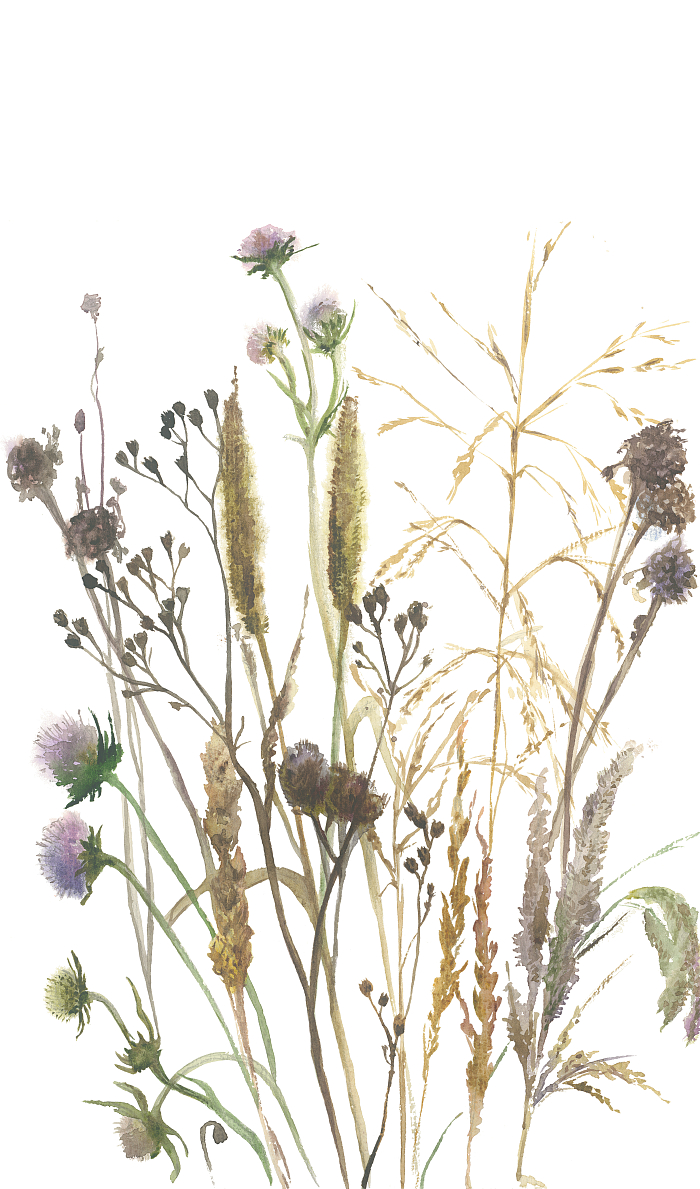 glv