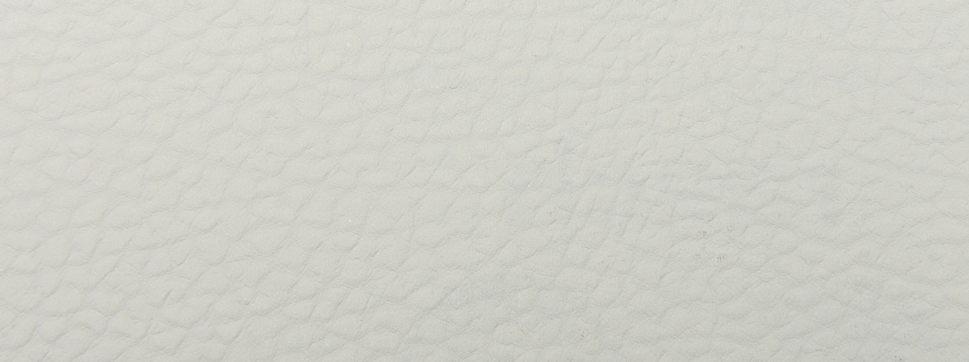 Изображение Rasch African Queen III 752632