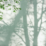 Панно A.S.Creation 39925-1