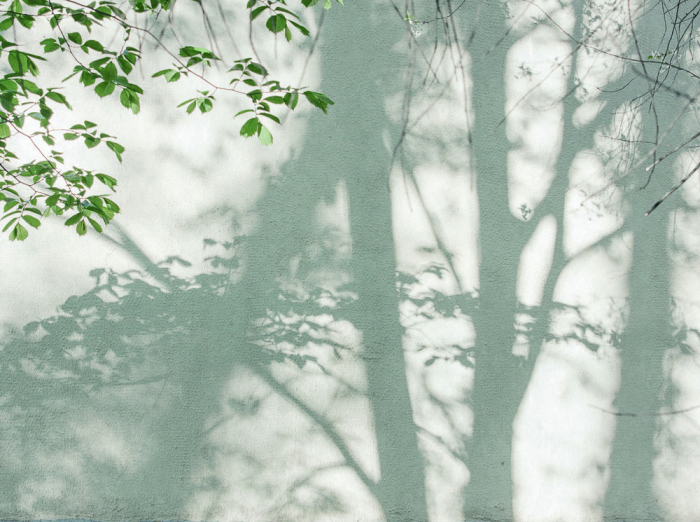 Панно A.S.Creation 39925-1